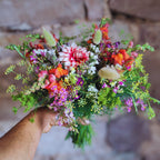 Saison Blumen Abo