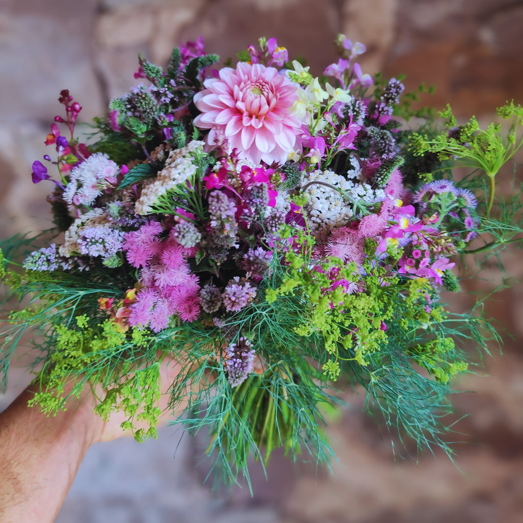 Saison Blumen Abo